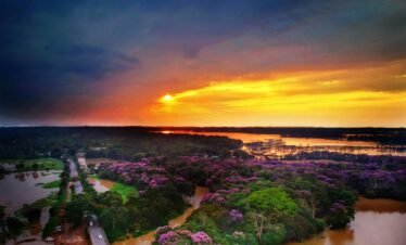 Wild Life in Assam 9 night 10 days